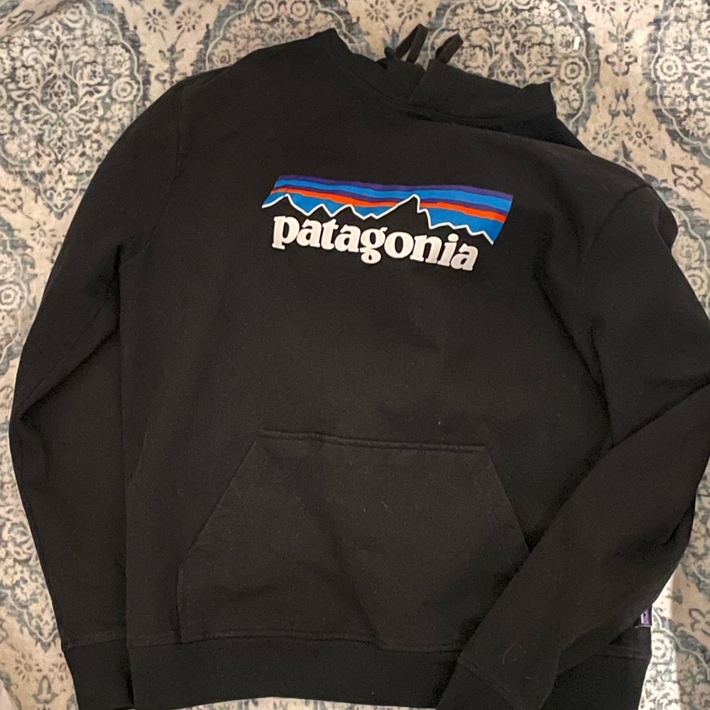Patagonia Black Regular Fit Hoodie